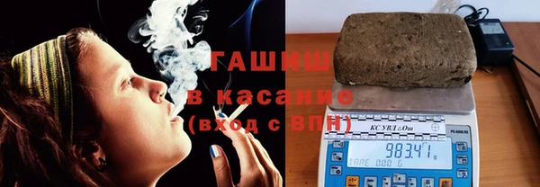 стаф Алзамай
