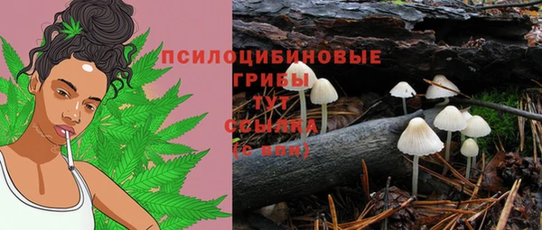 стаф Алзамай