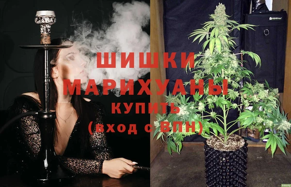шишки Алексеевка