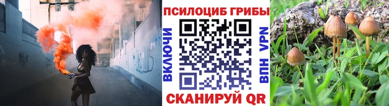 нарко площадка какой сайт  Княгинино  Галлюциногенные грибы мухоморы  где продают наркотики 